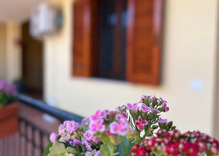 Casa Blu Mare アパート *